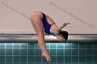 Women's Diving  Wheaton College Women’s Diving vs Mount Holyoke College. - Photo by Keith Nordstrom : Wheaton, Swimming & Diving